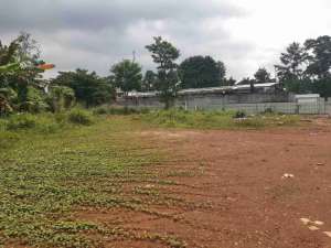 Di sewa lahan 3ha villa melati mas tangerang selatan lokasi di Tangerang Selatan Kota, tersedia melalui melalui situs Olx