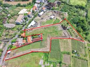 Di Sewakan Tanah Murah Di Bali Padang Galak Sanur lokasi di Denpasar Kota, tersedia melalui melalui situs Olx