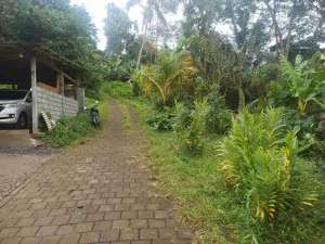 di sewakan tanah strategis 25 menit dari ubud lokasi di Gianyar Kab., tersedia melalui melalui situs Olx