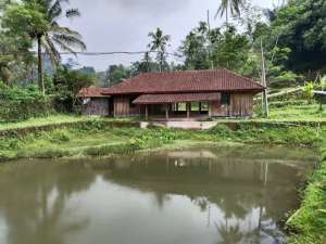 DIJUAL 2 KOLAM IKAN AIR BESAR DAN ADA SAUNG DI BOJONG PURWAKARTA. lokasi di Purwakarta Kab., tersedia melalui melalui situs Olx