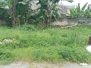 DIJUAL CEPAT 2 KAVLING GANDENG DI DALAM KOMPLEK PERUMAHAN CIBINONG KAB. BOGOR lokasi di Bogor Kab., tersedia melalui melalui situs Olx