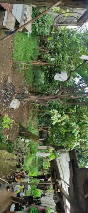 Dijual Cepat BU Rumah Hitung Tanah di Srengseng Sawah Jagakarsa lokasi di Depok Kota, tersedia melalui melalui situs Olx