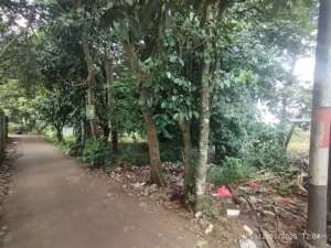 DIJUAL CEPAT BU Tanah Luas 400 m2 SHM di Kampung Cisaat Setu lokasi di Bekasi Kab., tersedia melalui melalui situs Olx