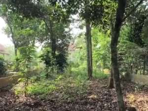 Dijual cepat kavlingluas 458 mtr dalam perumahandi Harvest City Cibubur lokasi di Bogor Kab., tersedia melalui melalui situs Olx