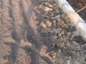 dijual cepat kavling murah meriah penghabisan stok resmi aman lokasi di Balong Panggang, tersedia melalui melalui situs Olx