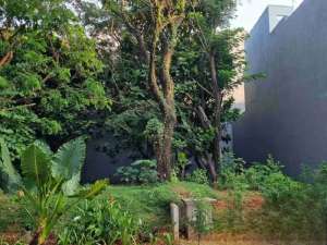 DIJUAL CEPAT KAVLING ROYAL ORCHARD KELAPA GADING lokasi di Jakarta Utara, tersedia melalui melalui situs Olx