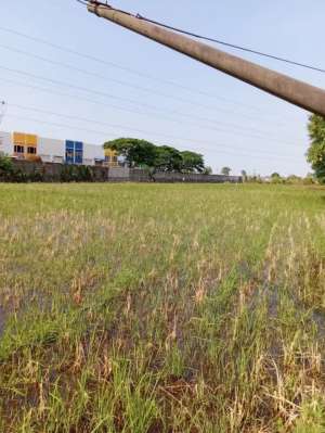 Dijual cepat Luas Tanah 7372 m2, karawang Barat, Karawang lokasi di Karawang Kab., tersedia melalui melalui situs Olx