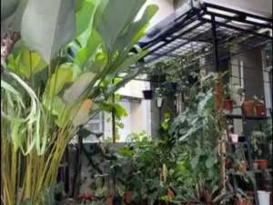 Dijual Cepat Rumah di Cendana Residence Pamulang lokasi di Tangerang Selatan Kota, tersedia melalui melalui situs Olx