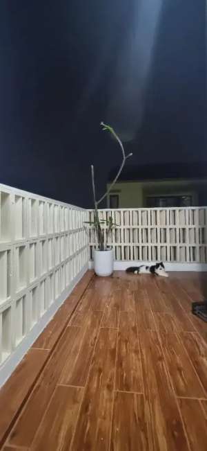 Dijual Cepat Rumah Mewah Harga Murah lokasi di Jakarta Utara, tersedia melalui melalui situs Olx