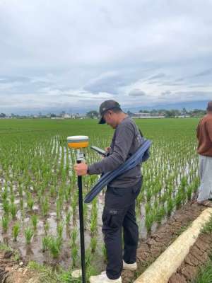 Dijual Cepat Sawah Murah produktif strategis ciparay sapan Kab Bandung lokasi di Bandung Kab., tersedia melalui melalui situs Olx