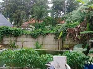 DIJUAL CEPAT TANAH di Bintaro lokasi sangat strategis, bebas banjir. lokasi di Tangerang Selatan Kota, tersedia melalui melalui situs Olx