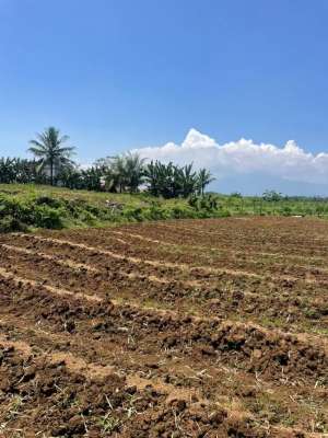 DIJUAL CEPAT Tanah di Kab. Bogor lokasi di Bogor Kab., tersedia melalui melalui situs Olx