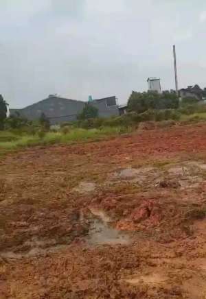 Dijual Cepat Tanah kavling Legok Murah Siap Bangun lokasi di Tangerang Kab., tersedia melalui melalui situs Olx