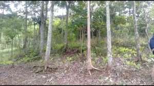 Dijual Cepat Tanah Kebun Cocok Untuk Tempat Istirahat dan Investasi lokasi di Bandung Kab., tersedia melalui melalui situs Olx