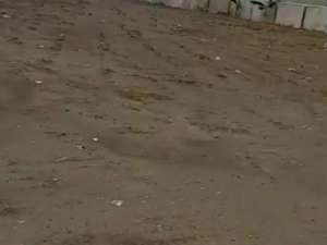 Dijual cepat Tanah komersil Babelan bekasi akses kontener lokasi di Bekasi Kota, tersedia melalui melalui situs Olx