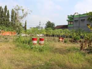 DIJUAL CEPAT TANAH KOMERSIL DI BLITAR - LOKASI STRATEGIS SANAN WETAN lokasi di Blitar Kota, tersedia melalui melalui situs Olx