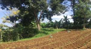 Dijual Cepat Tanah Lokasi Premium Jl Raya Setia Budi Bandung lokasi di Bandung Kota, tersedia melalui melalui situs Olx