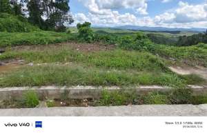 Dijual Cepat Tanah Murah Di Pinggir Jalan IKN Nusantara Penajam lokasi di Penajam Paser Utara Kab., tersedia melalui melalui situs Olx