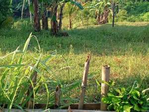 DIJUAL CEPAT TANAH PINGGIR JALAN RAYA AREA BOJONGMANGU BEKASI lokasi di Bekasi Kab., tersedia melalui melalui situs Olx