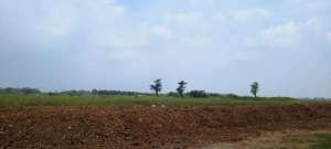 Dijual Cepat Tanah Premium Kedoya Siap Bangun lokasi di Tangerang Kota, tersedia melalui melalui situs Olx