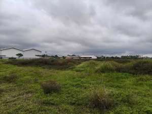 Dijual Cepat Tanah Tegal Alur Dibawah NJOP Siap Bangun lokasi di Jakarta Barat, tersedia melalui melalui situs Olx