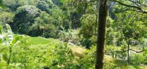 Dijual Cepat Tanah Wisata Bumi Titi Murah Siap Bangun lokasi di Cianjur Kab., tersedia melalui melalui situs Olx