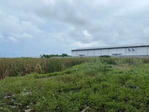 Dijual dan Disewakan Kalving di Jl Raya Kosambi Dadap lokasi di Tangerang Kab., tersedia melalui melalui situs Olx