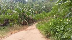 Dijualdisewakan Tanah Desa Kalikatir Kecamatan Gondang Mojokerto lokasi di Surabaya Kota, tersedia melalui melalui situs Olx