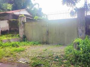 Dijual exs Kandang Ayam 1,2ha di JEMBER lokasi di Jember Kab., tersedia melalui melalui situs Olx