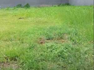 Dijual Kavling Anggrek Loka Gandeng BSD Tangerang lokasi di Tangerang Selatan Kota, tersedia melalui melalui situs Olx