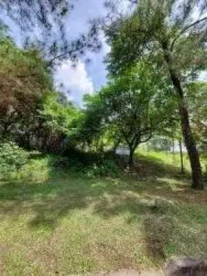 Dijual Kavling Di Cluster Northridge Sentul City Bogor Jawa Barat lokasi di Bogor Kota, tersedia melalui melalui situs Olx