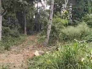 DIJUAL KAVLING HARGA MURAH DI PINGGIR JALAN RAYA KAREDANAN PEMDA KABUPATEN BOGOR lokasi di Bogor Kab., tersedia melalui melalui situs Olx