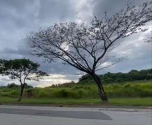 Dijual Kavling Industrial Kitic Deltamas Cikarang lokasi di Bekasi Kab., tersedia melalui melalui situs Olx