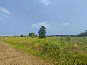 Dijual kavling kawasan industri KIIC KARAWANG lokasi di Karawang Kab., tersedia melalui melalui situs Olx