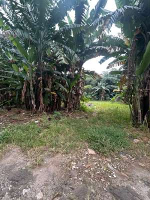 Dijual Kavling Lokasi Strategis Siap Bangun di Parigi Baru lokasi di Tangerang Selatan Kota, tersedia melalui melalui situs Olx