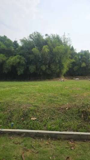 Dijual Kavling Permata Buana dengan nomor HOKi lokasi di Tangerang Kota, tersedia melalui melalui situs Olx