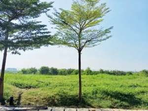 Dijual Kavling PIK2 Pantai Bukit Villa Pantai Indah Kapuk 2 lokasi di Tangerang Kab., tersedia melalui melalui situs Olx