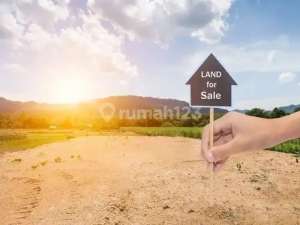 Dijual Kavling Rumah Pluit Permai Jakarta Utara, Harga Nego lokasi di Jakarta Utara, tersedia melalui melalui situs Olx