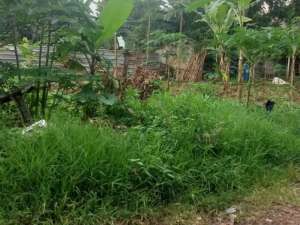 Dijual Kavling Siap Bangun Di Daerah Pondok Ranji NV-17711 lokasi di Tangerang Selatan Kota, tersedia melalui melalui situs Olx