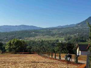 dijual Kavling siap bangun SHM fasilitas eksklusif Cocok untuk villa dan hunian lokasi di Jakarta Selatan, tersedia melalui melalui situs Olx