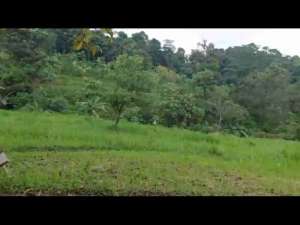 DIJUALKAVLING - Taman Dayu Pasuruan JatimHarga Paling Murah lokasi di Pasuruan Kab., tersedia melalui melalui situs Olx