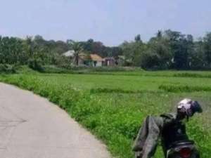 Dijual Kavling Tanah Sawah di Kec. Rajeg Tangerang By Rumah Chinida lokasi di Tangerang Kab., tersedia melalui melalui situs Olx