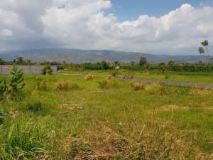 Dijual Kavling Tangguwisia Kec Seririt Buleleng Singaraja Bali lokasi di Buleleng Kab., tersedia melalui melalui situs Olx