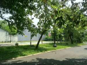 Dijual Kavling Termurah di Dukuh Bima Bekasi lokasi di Depok Kota, tersedia melalui melalui situs Olx