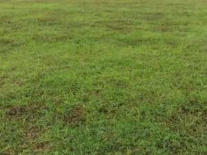 Dijual Kavlinig Atau Tanah Di Kawasan Industri Delta Silicon lokasi di Karawang Kab., tersedia melalui melalui situs Olx