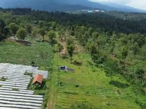 DIJUAL KEBUNCENGKEH, DURIANTEH di Jl. Raya Kiarapedes - Wanayasa lokasi di Purwakarta Kab., tersedia melalui melalui situs Olx