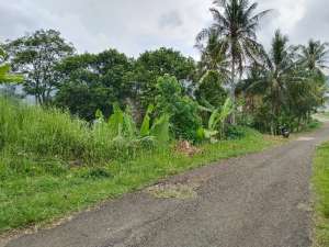 Dijual Kolam Ikan Dan Kebun, Pemandangan Bagus Dan Air Melimpah lokasi di Purwakarta Kab., tersedia melalui melalui situs Olx