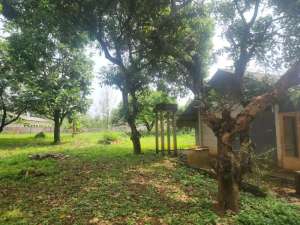 DIJUAL LAHAN COCOK UNTUK BANGUN PERUMAHAN CLUSTER DI AREA GN PUTRI BOGOR lokasi di Bogor Kab., tersedia melalui melalui situs Olx