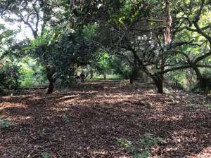 Dijual Lahan Darat Lokasi Strategis di Purwakarta lokasi di Purwakarta Kab., tersedia melalui melalui situs Olx