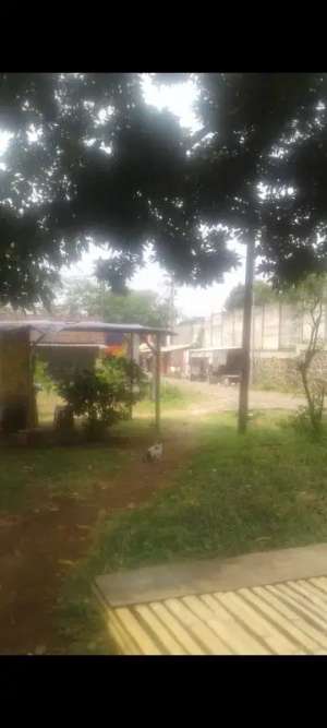 Dijual Lahan Datar Pinggir Jalan Provinsi Malang - Surabaya lokasi di Pasuruan Kab., tersedia melalui melalui situs Olx